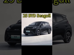 Carros elétricos chineses