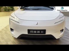 Carros elétricos chineses