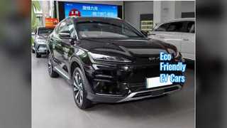 Transporte urbano sustentável de veículos elétricos chineses