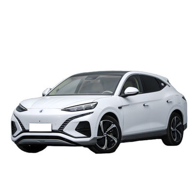 DENZA N7 SUV Family Size Cars Motor 313Ps Com Mercedes Pedigree