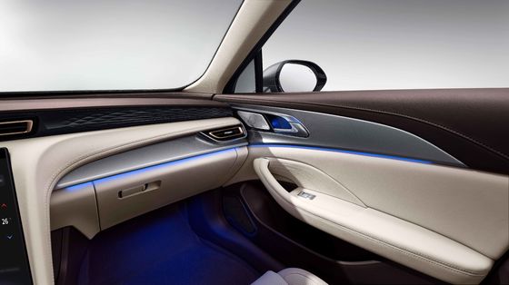 MPV elétrico chinês de 6 lugares com direção assistida L2
