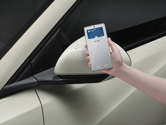 2025 BYD Seagull, condução inteligente atualizada, melhor configuração de segurança, mais funções e menor preço!